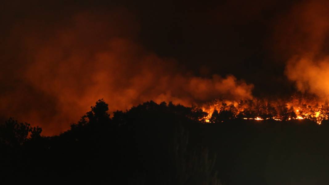 Sakarya’da başlayan orman yangını sabaha kadar sürdü: Köyler boşaltıldı, TSK da devrede 2